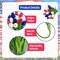 18 Pcs 13 Inches Artificial Tulip Flowers for 4th of July Decorations Tabletop Decorations